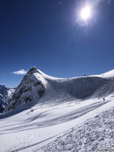 Klicken für Bild in voller Größe