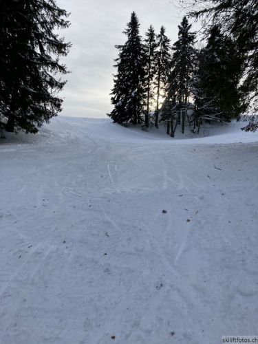20210120-balmberg-2933.jpg