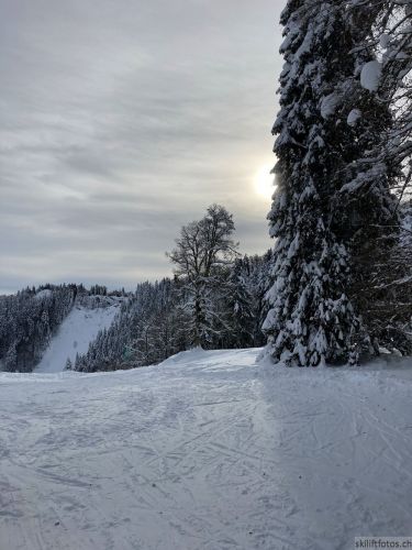 20210120-balmberg-2941.jpg