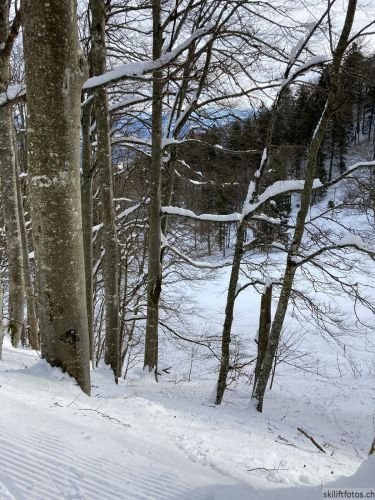 20210120-balmberg-2947.jpg