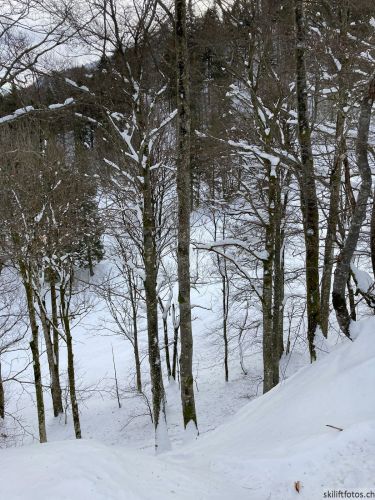20210120-balmberg-3005.jpg