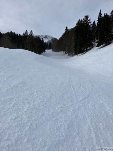 20210120-balmberg-3014.jpg