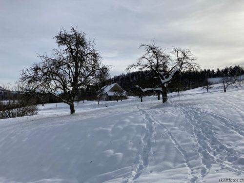 20210120-langenbruck-3118.jpg