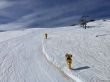 20210226-sedrun-4418.jpg