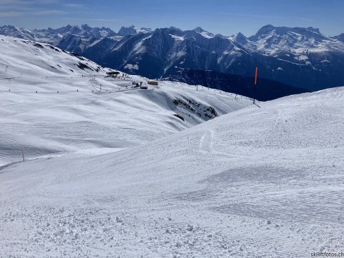 20210328-belalp-5333.jpg