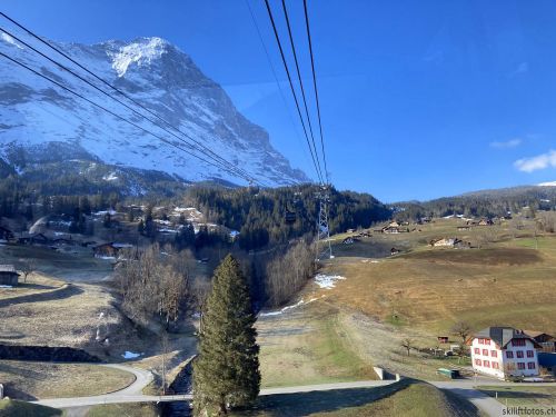 20210414-grindelwald-5953.jpg
