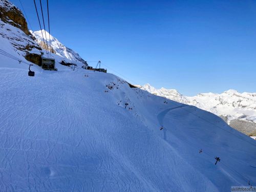 20210414-grindelwald-5985.jpg