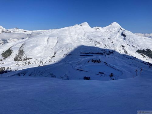 20210414-grindelwald-6014.jpg