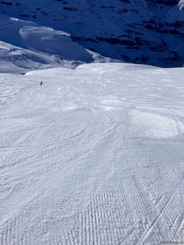 20210414-grindelwald-6022.jpg