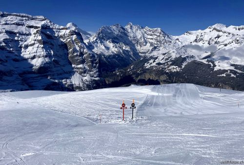 20210414-grindelwald-6023.jpg