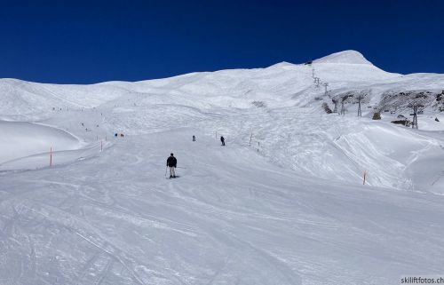 20210414-grindelwald-6029.jpg