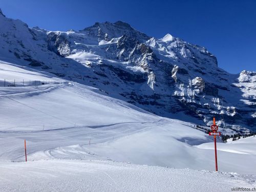20210414-grindelwald-6030.jpg