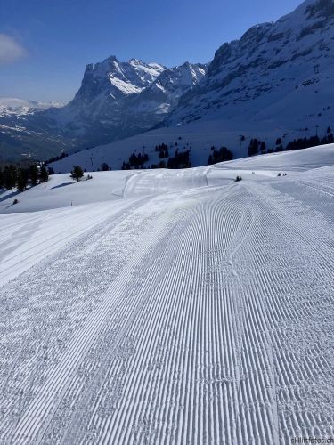 20210414-grindelwald-6032.jpg