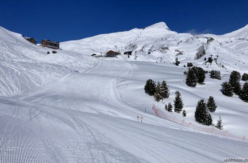20210414-grindelwald-6033.jpg