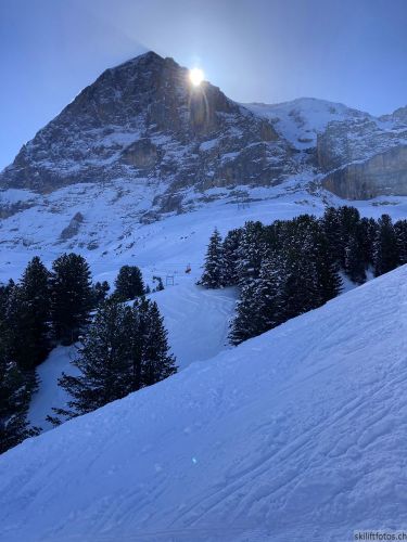 20210414-grindelwald-6034.jpg