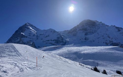 20210414-grindelwald-6037.jpg