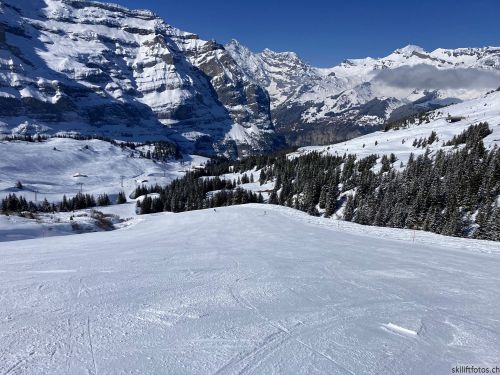 20210414-grindelwald-6038.jpg