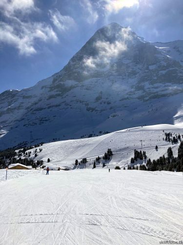 20210414-grindelwald-6041.jpg