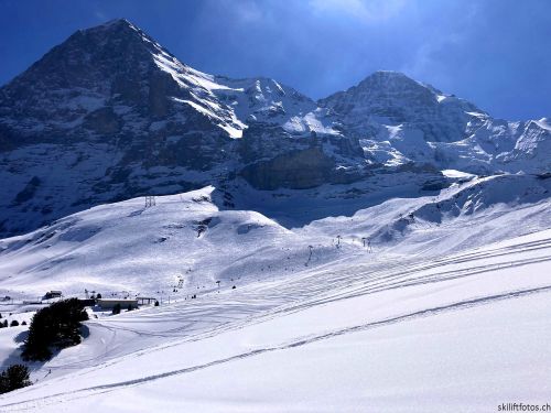 20210414-grindelwald-6049.jpg