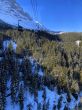 20210414-grindelwald-5964.jpg