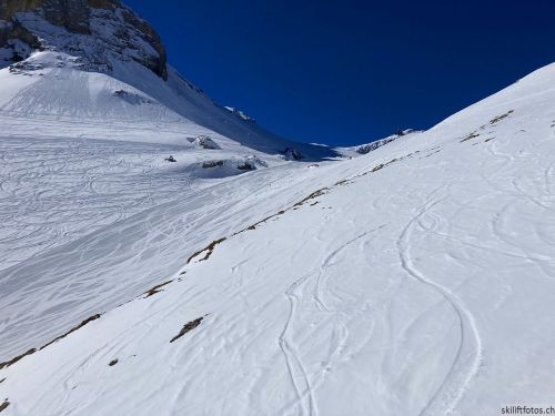 20210423-glacier3000-6355.jpg