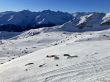 Dateiname=20220119-sedrun-7775.jpg
Dateigröße=399KB
Abmessungen: 1600x1200
hinzugefügt am: 20. Januar 2022 20220119-sedrun-7775.jpg