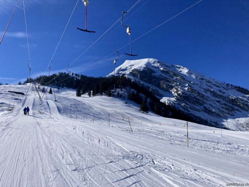 Wiriehorn, 8.3.2022
