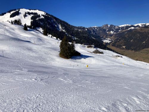 Wiriehorn, 8.3.2022
