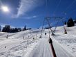 20220308-wiriehorn-0021.jpg