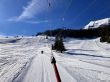 20220308-wiriehorn-0025.jpg