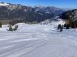 20220308-wiriehorn-0027.jpg