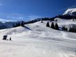 20220308-wiriehorn-0031.jpg