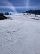 20220308-wiriehorn-0048.jpg