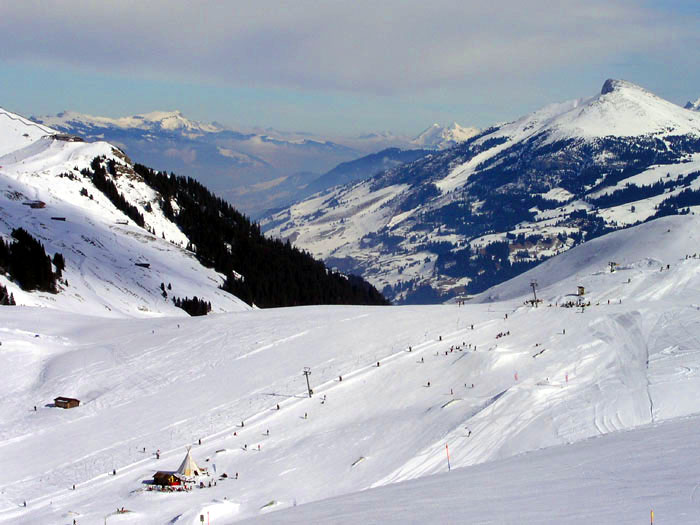 Blick vom Metschberg gen Adelboden / Interlaken
