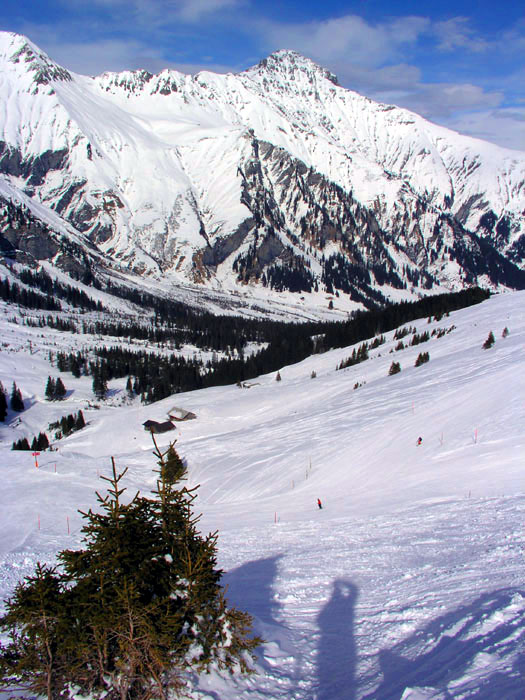 Blick Richtung Aebi, Gsür
