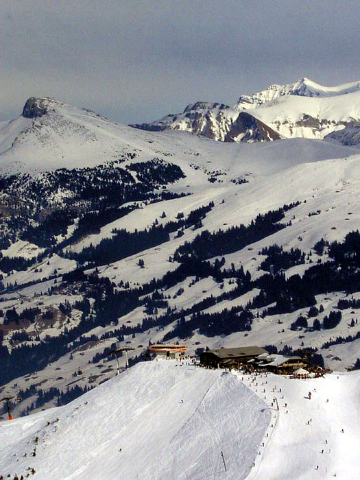 Blick übers Sillerenbühl zur Elsigenalp
