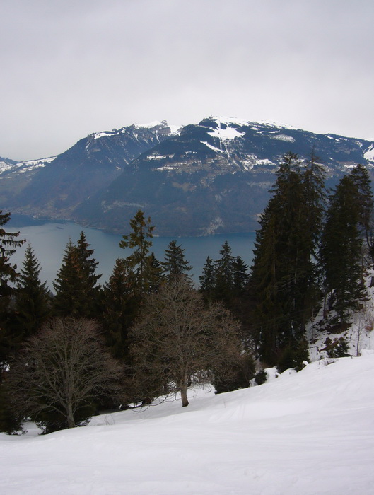 25. Februar 2010
