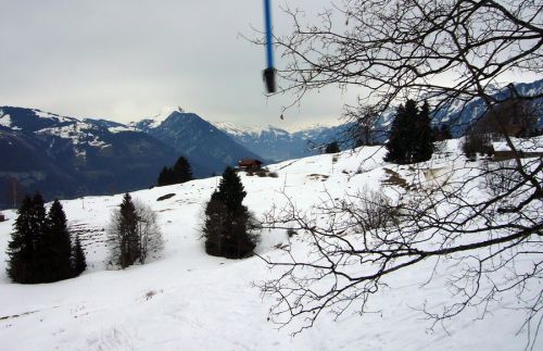 25. Februar 2010
