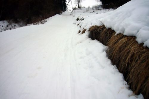 25. Februar 2010
