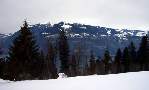 Blick zum Niederhorn
