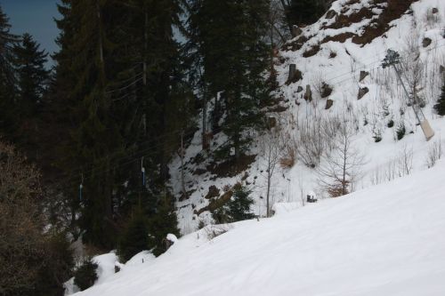25. Februar 2010
