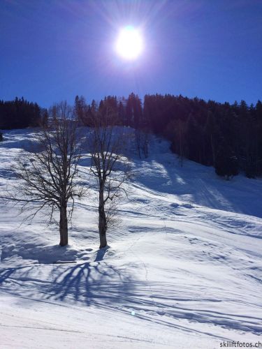 26. Februar 2015
