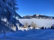 Dateiname=20211222-aeschiallmend-6521.jpg
Dateigröße=395KB
Abmessungen: 1600x1200
hinzugefügt am: 22. Dezember 2021 20211222-aeschiallmend-6521.jpg