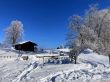 Dateiname=20211222-aeschiallmend-6523.jpg
Dateigröße=561KB
Abmessungen: 1600x1200
hinzugefügt am: 22. Dezember 2021 20211222-aeschiallmend-6523.jpg