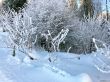 Dateiname=20211222-aeschiallmend-6527.jpg
Dateigröße=698KB
Abmessungen: 1600x1200
hinzugefügt am: 22. Dezember 2021 20211222-aeschiallmend-6527.jpg