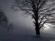 Dateiname=20211222-aeschiallmend-6549.jpg
Dateigröße=396KB
Abmessungen: 1600x1200
hinzugefügt am: 22. Dezember 2021 20211222-aeschiallmend-6549.jpg
