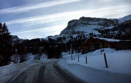 18. Januar 2016
