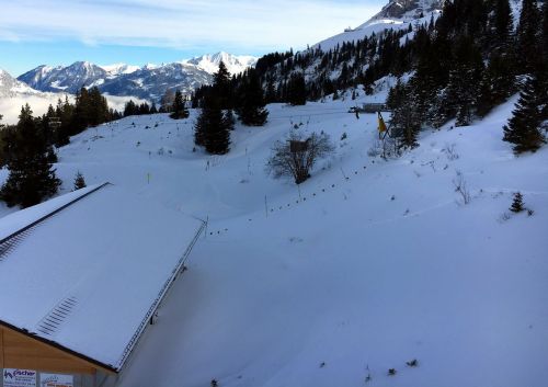 18. Januar 2016
