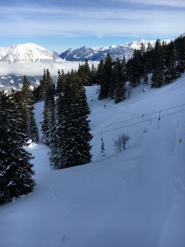 18. Januar 2016
