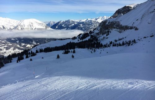 18. Januar 2016

